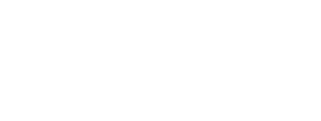 Orion X Consultoria